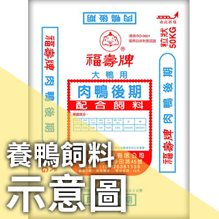 肉鴨系列-肉鴨肥育